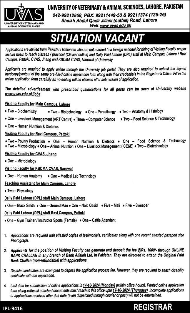 University of Veterinary and Animal Sciences New UVAS Jobs 2024