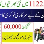 Punjab Emergency Service Rescue 1122 Jobs